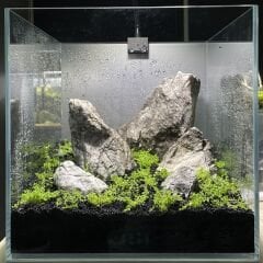 Mini Land Scape