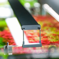 Chihiros B20 Led Aydınlatma Bluetooth Kontrollü 20-30cm