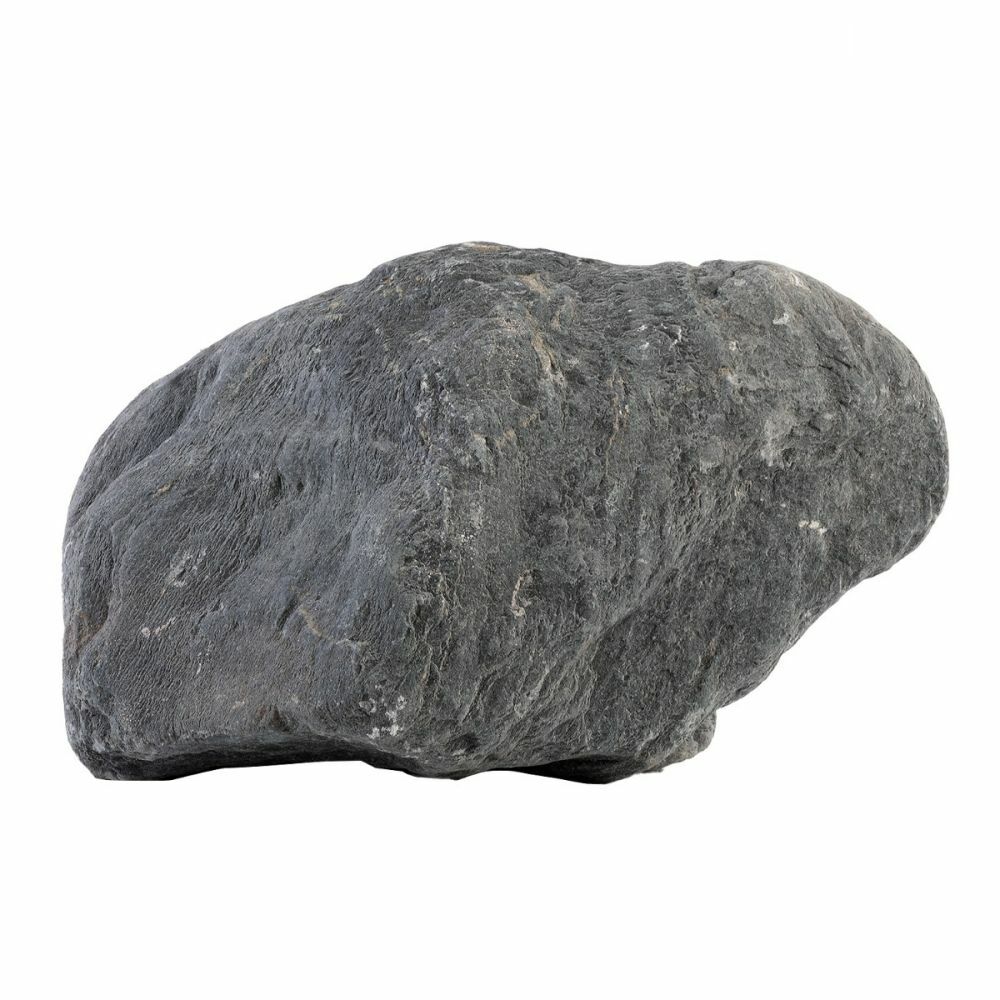 Wild Akvaryum Tasarım Kayası