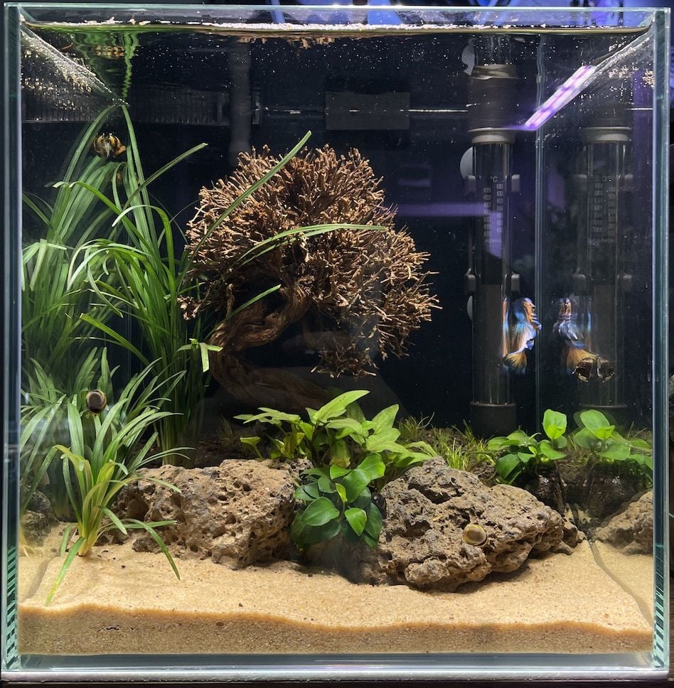 25x25x25 BETA AKVARYUMU İÇİN TÜM SET