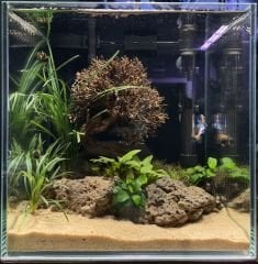 25x25x25 BETA AKVARYUMU İÇİN TÜM SET