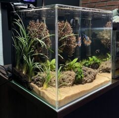 30x30x30 BETA AKVARYUMU İÇİN TÜM SET