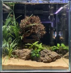 30x30x30 BETA AKVARYUMU İÇİN TÜM SET