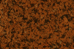 Tetra Rubin Pul Yem 1000ml/200gr