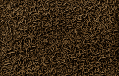 Tetra ReptoMin Sticks 270 gr/ 1l