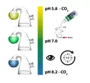 SEACHEM Co2 Indicator Solution Sıvı 50 ml